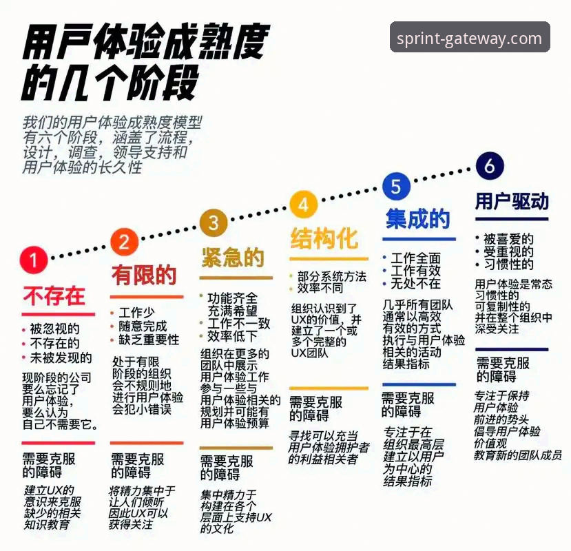 开云最新版APP全面解析：功能升级与用户体验深度评测